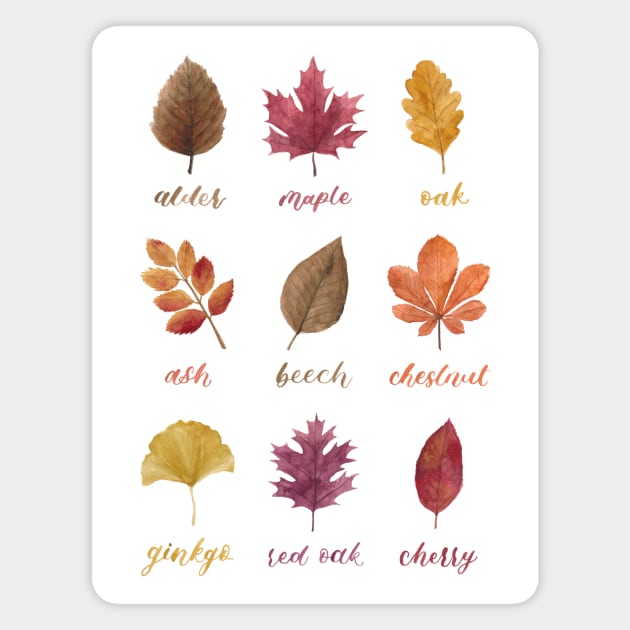 Fall Leaves Chart Watercolour Painting & Calligraphy Magnet by Flowering Words